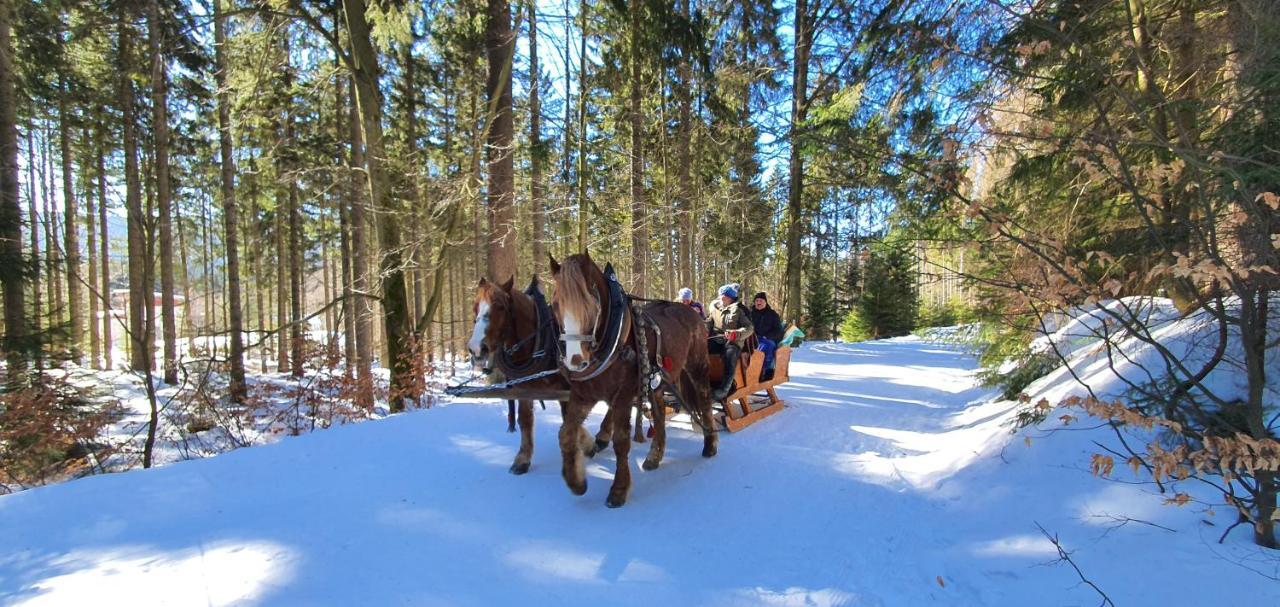 Pension Vinkl Harrachov Esterno foto