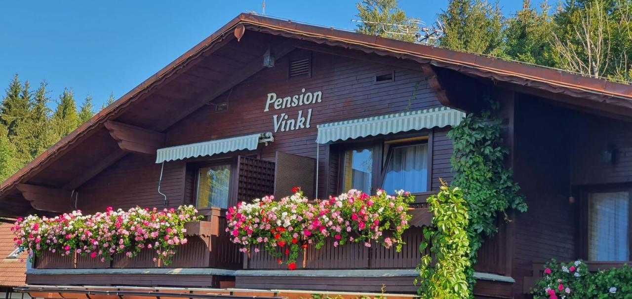 Pension Vinkl Harrachov Esterno foto
