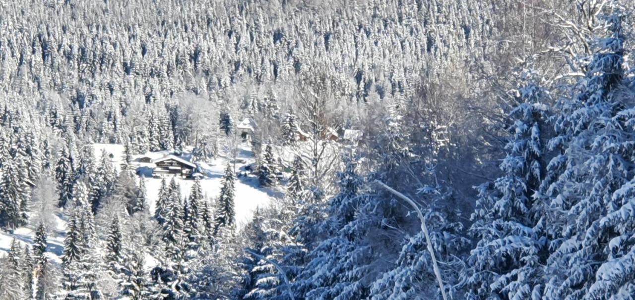 Pension Vinkl Harrachov Esterno foto