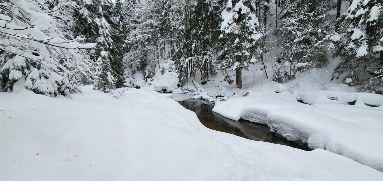 Pension Vinkl Harrachov Esterno foto