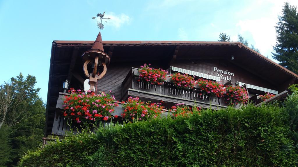 Pension Vinkl Harrachov Esterno foto